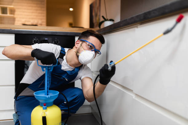 Trusted Eastland, TX Pest Control Experts