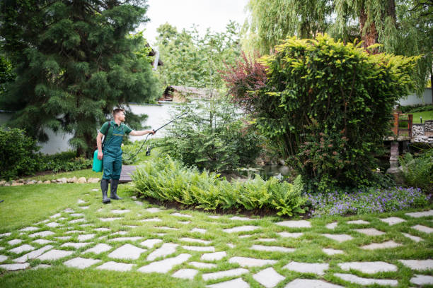 Best Pest Prevention Services  in Eastland, TX