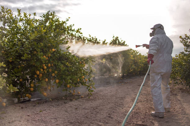Best Best Pest Control Companies  in Eastland, TX