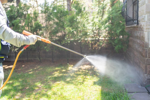 Best Rat Extermination Near Me  in Eastland, TX