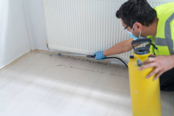 Best Bed Bug Extermination  in Eastland, TX